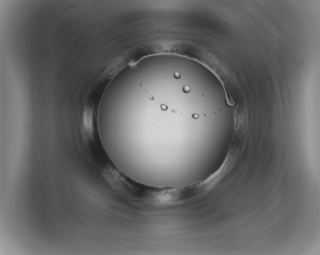 X0000113040094200909031320