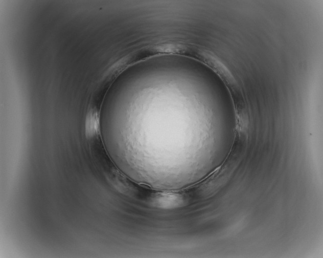 X0000113040095200909031320