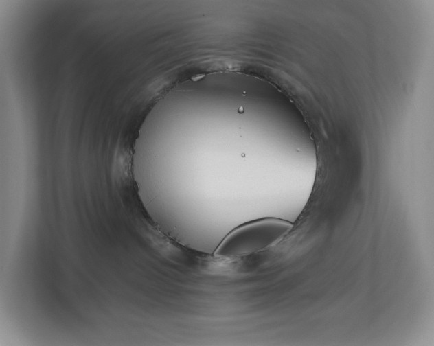 X0000113040096200909031320