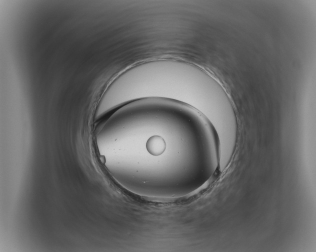 X0000113040097200909031320