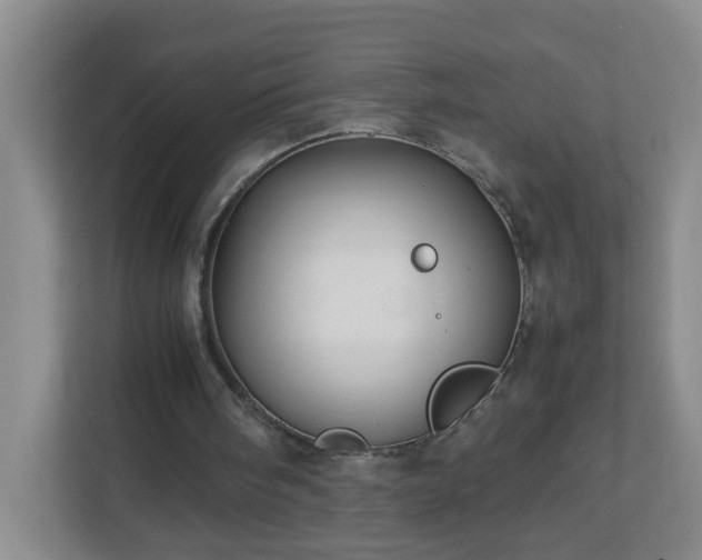 X0000113040098200909031320