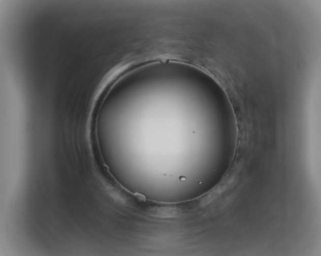 X0000113040104200909031320