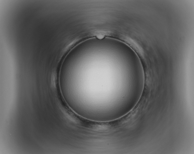 X0000113040107200909031320