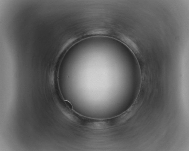 X0000113040108200909031320