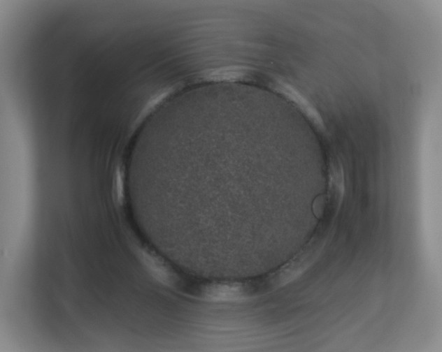 X0000113040110200909031320