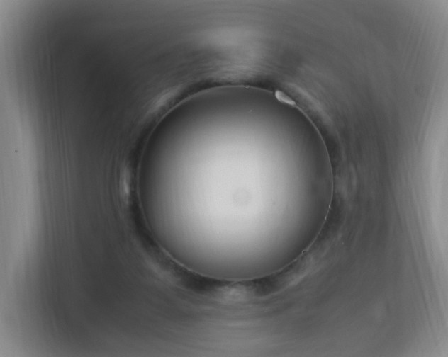 X0000113040115200909031320