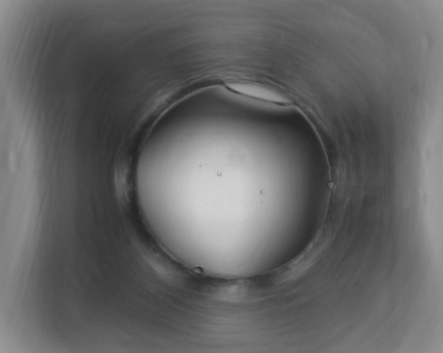 X0000113040116200909031320