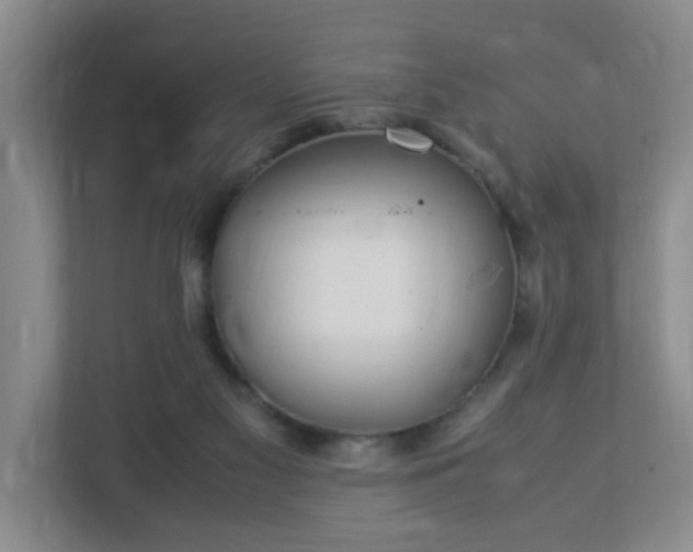 X0000113040117200909031319