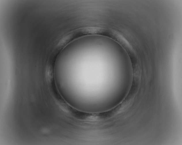X0000113040119200909031319