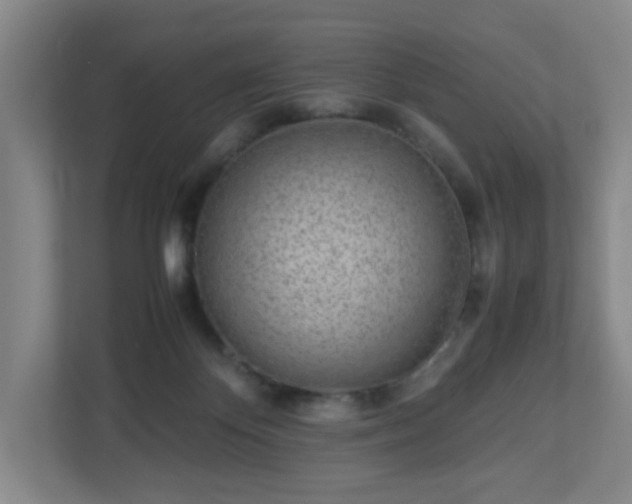 X0000113040124200909031319