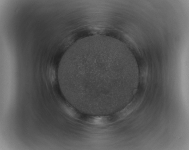 X0000113040130200909031319