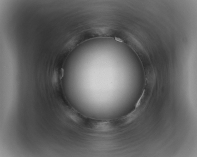 X0000113040132200909031319