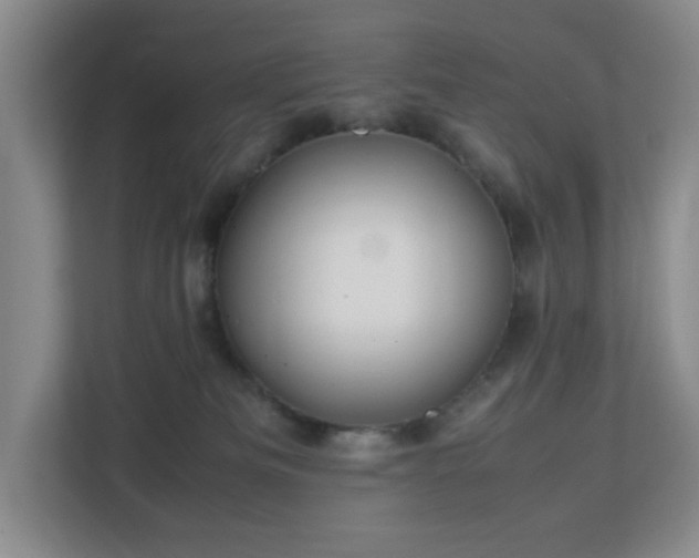 X0000113040133200909031319