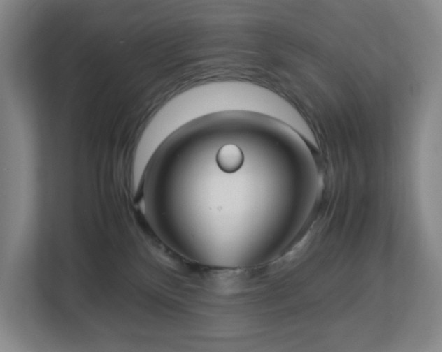 X0000113040136200909031319