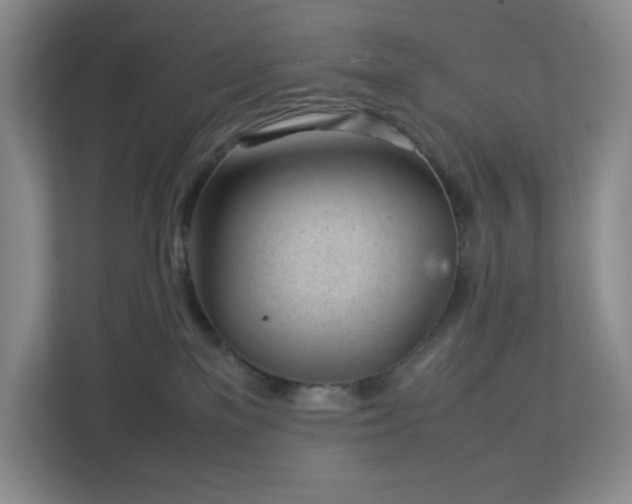 X0000113040137200909031319
