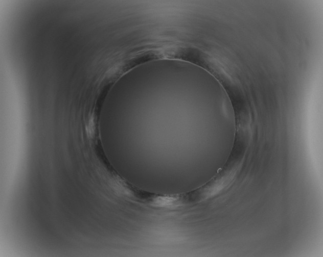 X0000113040139200909031319