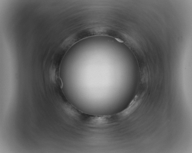 X0000113040140200909031319