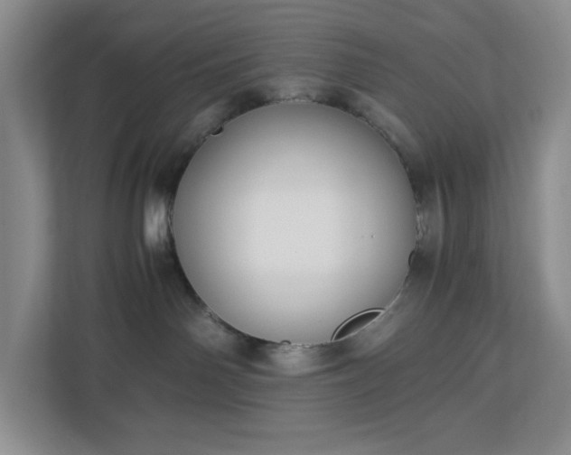 X0000113040142200909031319
