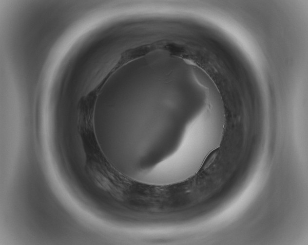 X0000113040143200909031319