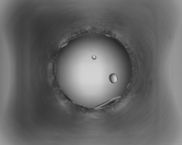 X0000113040144200909031319