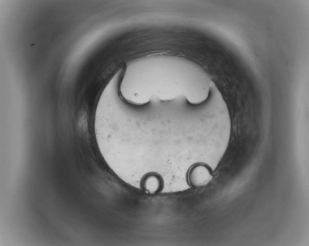 X0000113040146200909031319