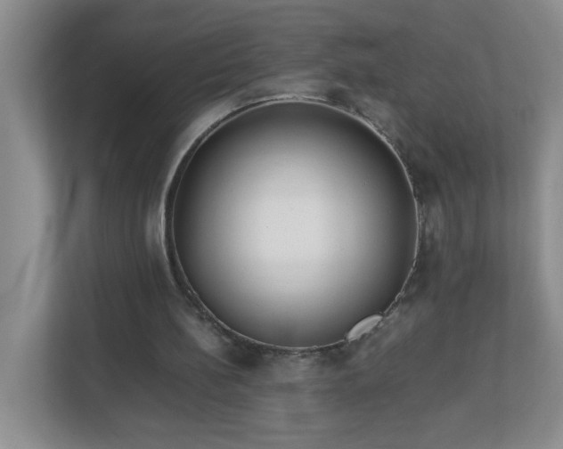 X0000113040148200909031319