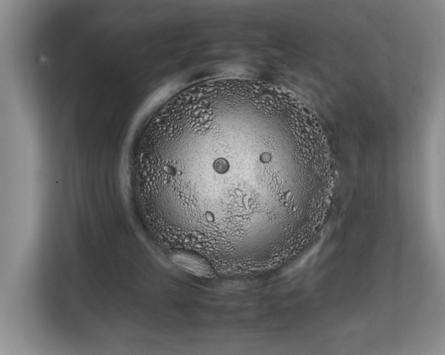 X0000113040149200909031319