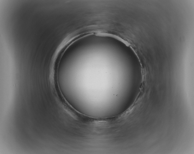 X0000113040150200909031319