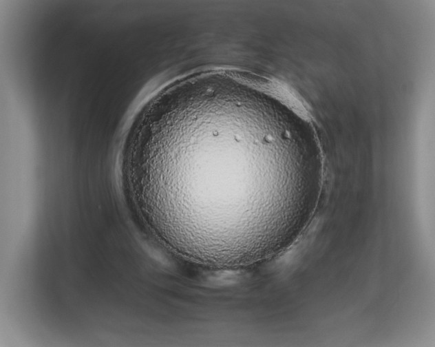 X0000113040151200909031319