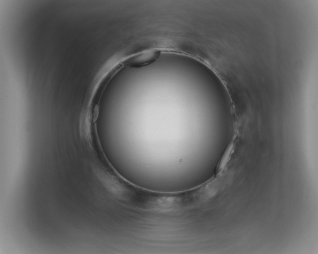 X0000113040152200909031319