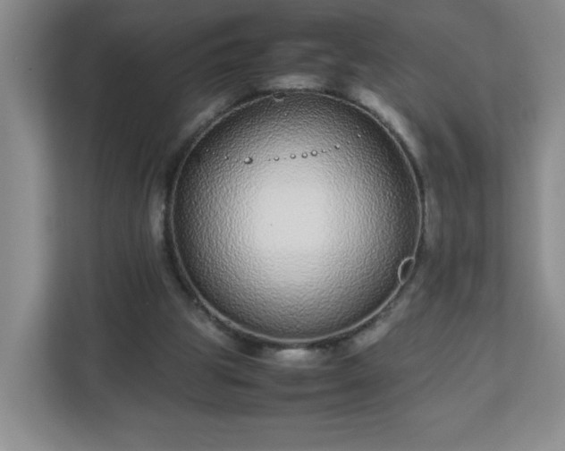 X0000113040153200909031319