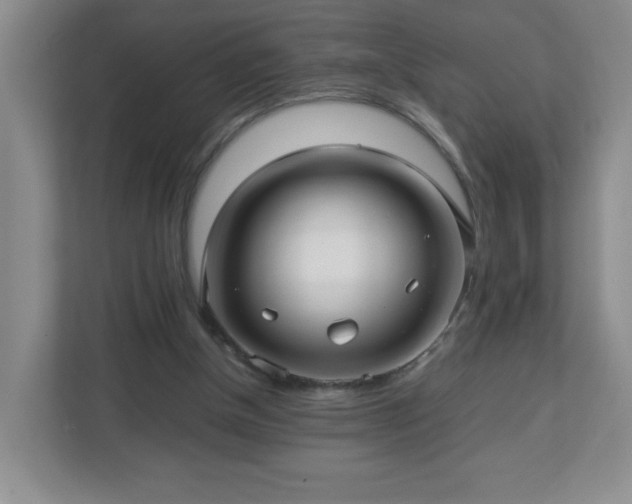 X0000113040154200909031319