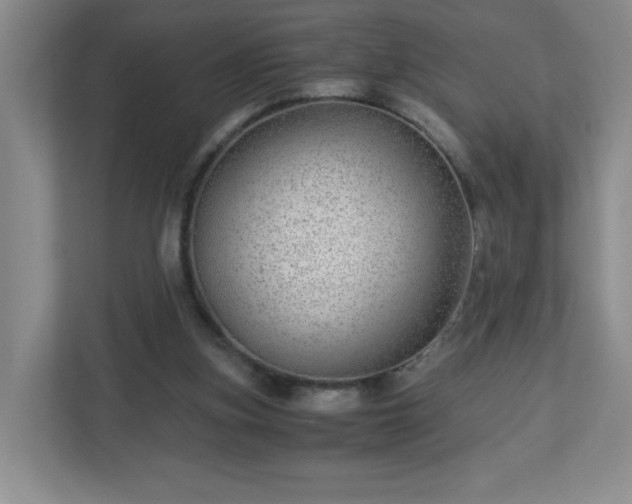 X0000113040155200909031319