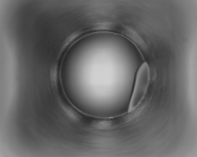 X0000113040156200909031319