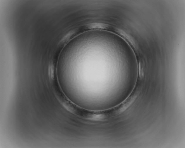 X0000113040157200909031319