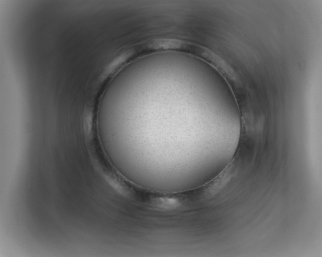 X0000113040159200909031319