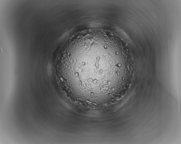 X0000113040161200909031319