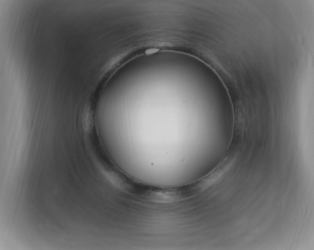 X0000113040164200909031319