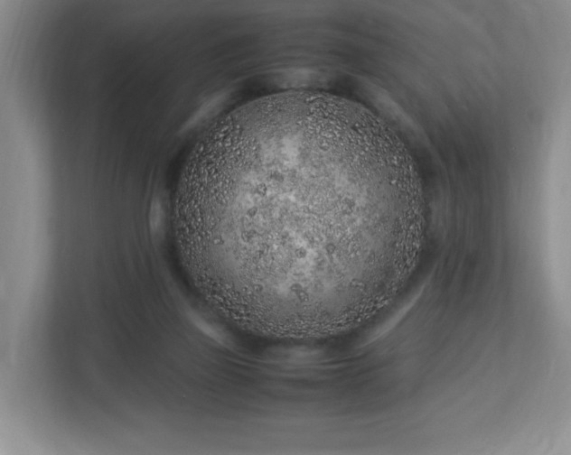 X0000113040165200909031319