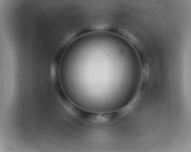 X0000113040166200909031319