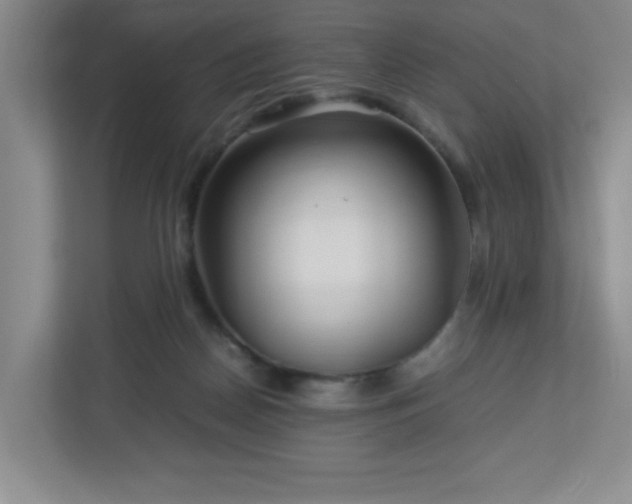 X0000113040170200909031319