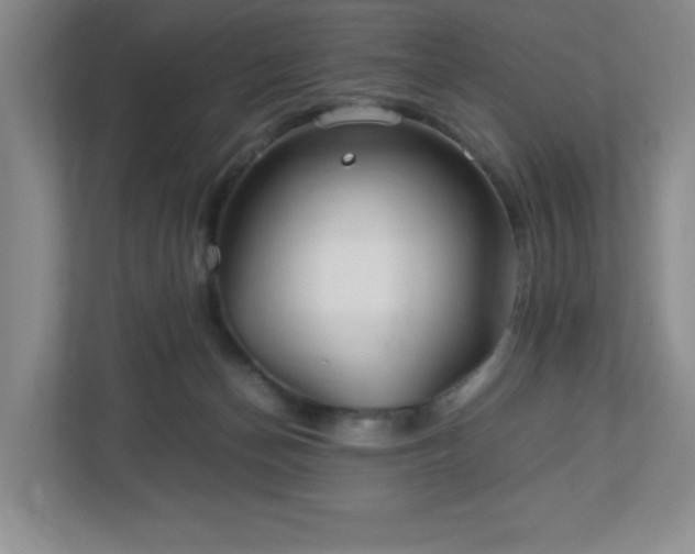 X0000113040174200909031319