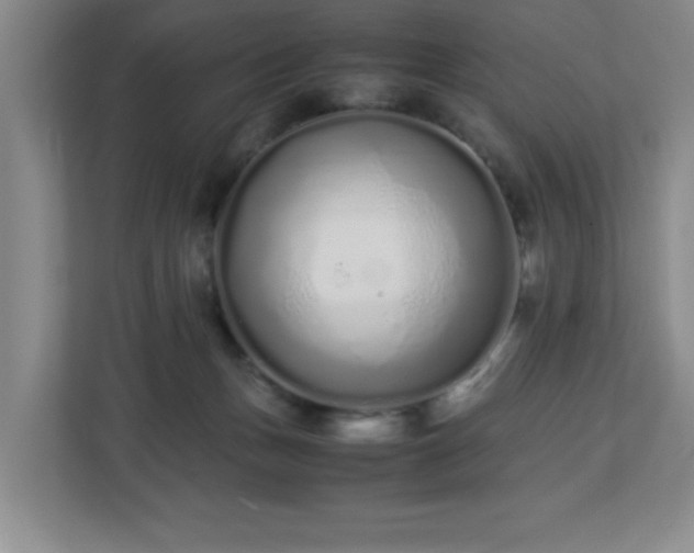 X0000113040175200909031319