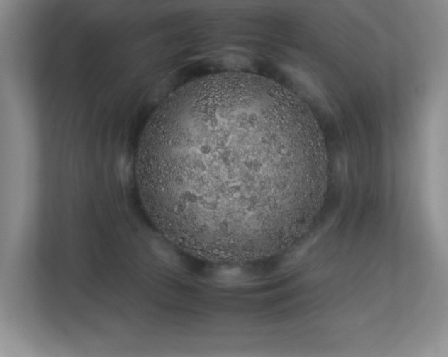 X0000113040177200909031319