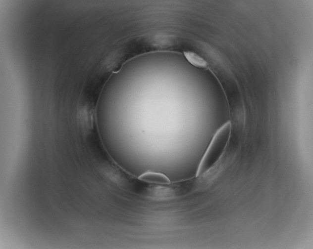 X0000113040180200909031319