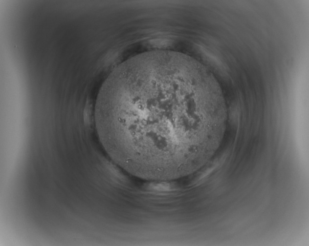 X0000113040181200909031319