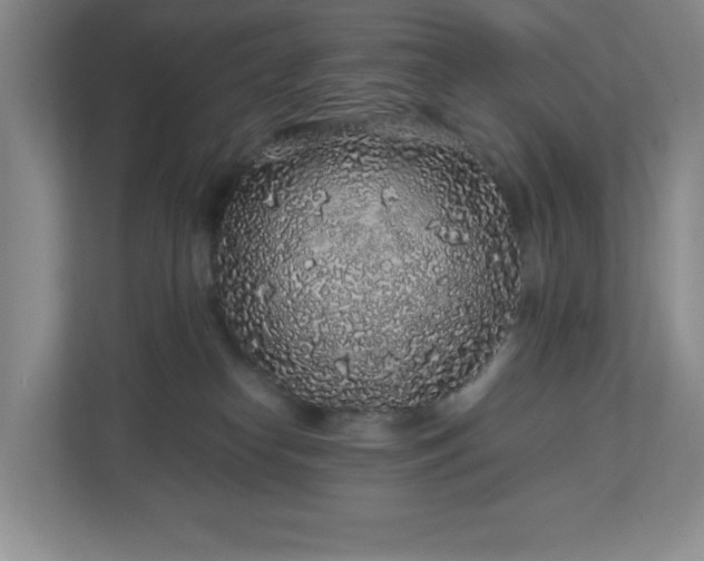 X0000113040182200909031319