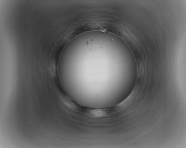 X0000113040183200909031319