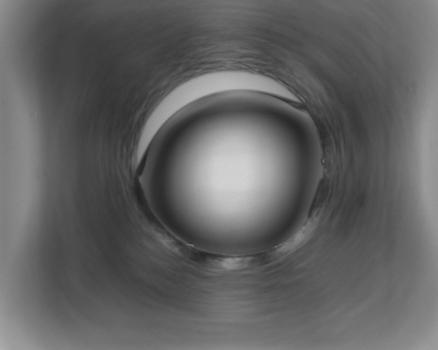 X0000113040184200909031319