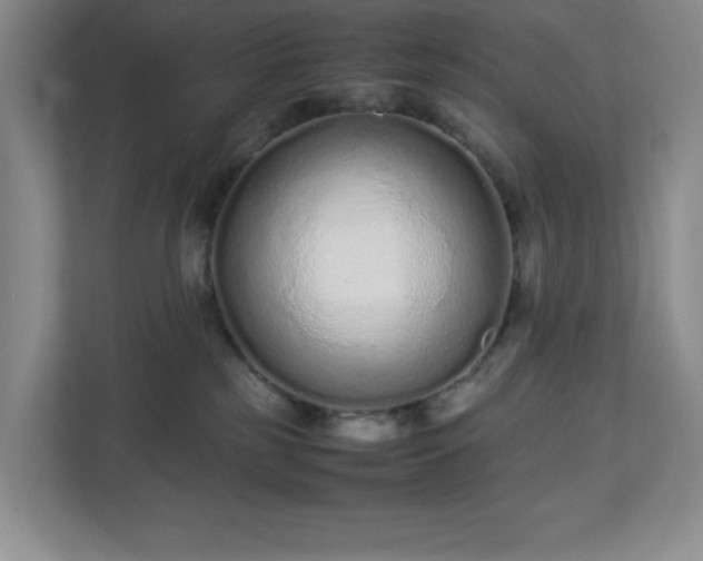 X0000113040185200909031319